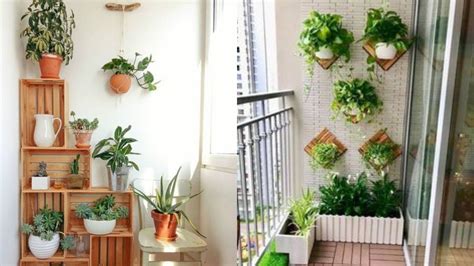 陽台吊掛植物